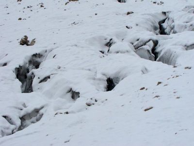 013-Gletscherspalten im Hoellentalferner